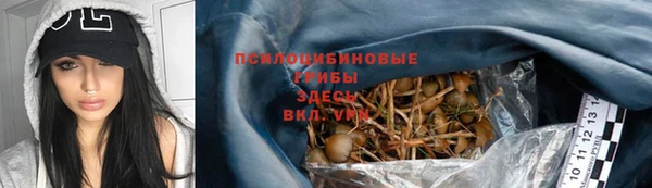 PSILOCYBIN Алексин