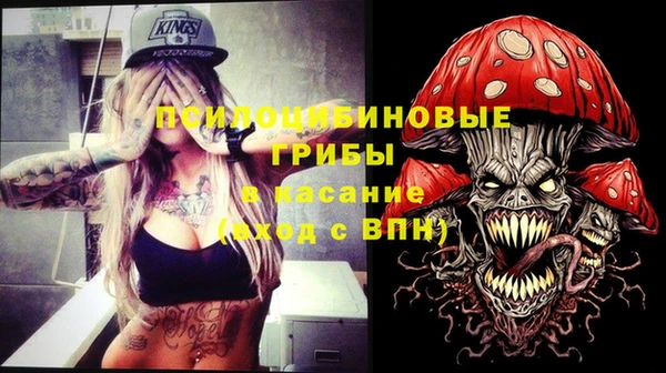 эйфоретик Алзамай